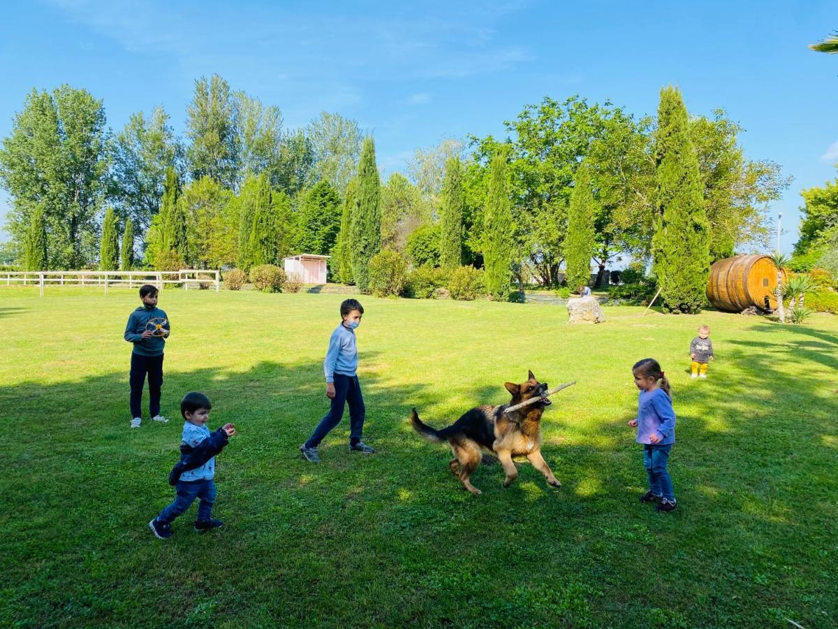 Agriturismo Le Fornase Villa Castelnuovo del Garda Dış mekan fotoğraf