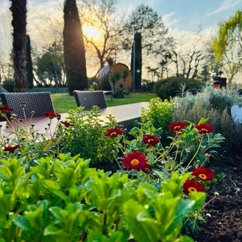 Agriturismo Le Fornase Villa Castelnuovo del Garda Dış mekan fotoğraf