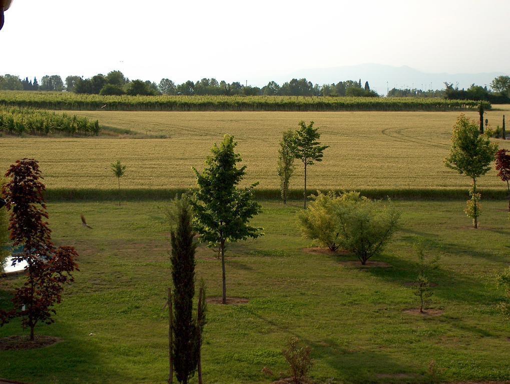 Agriturismo Le Fornase Villa Castelnuovo del Garda Dış mekan fotoğraf